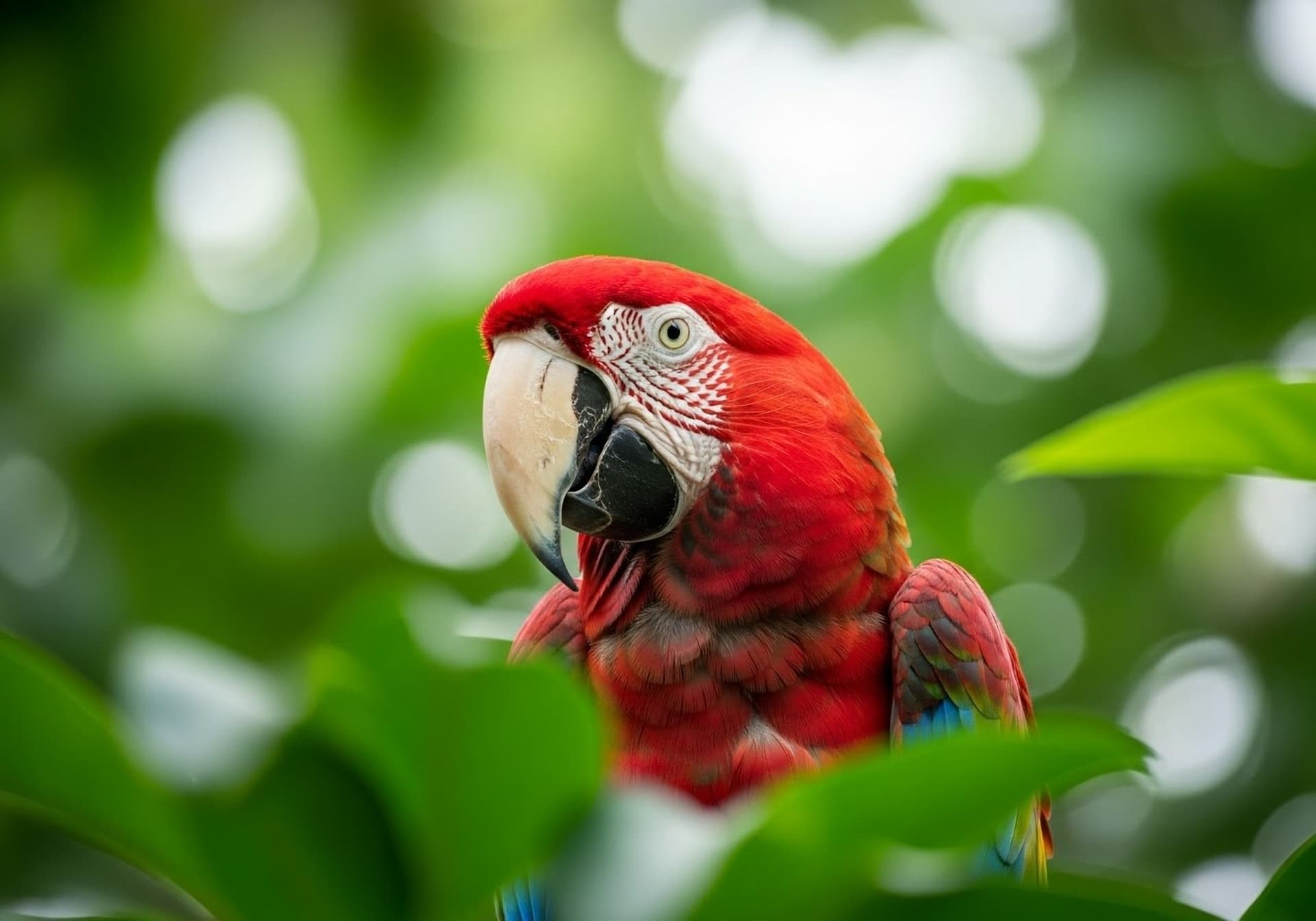 BIODIVERSITÉ EXCEPTIONNELLE
