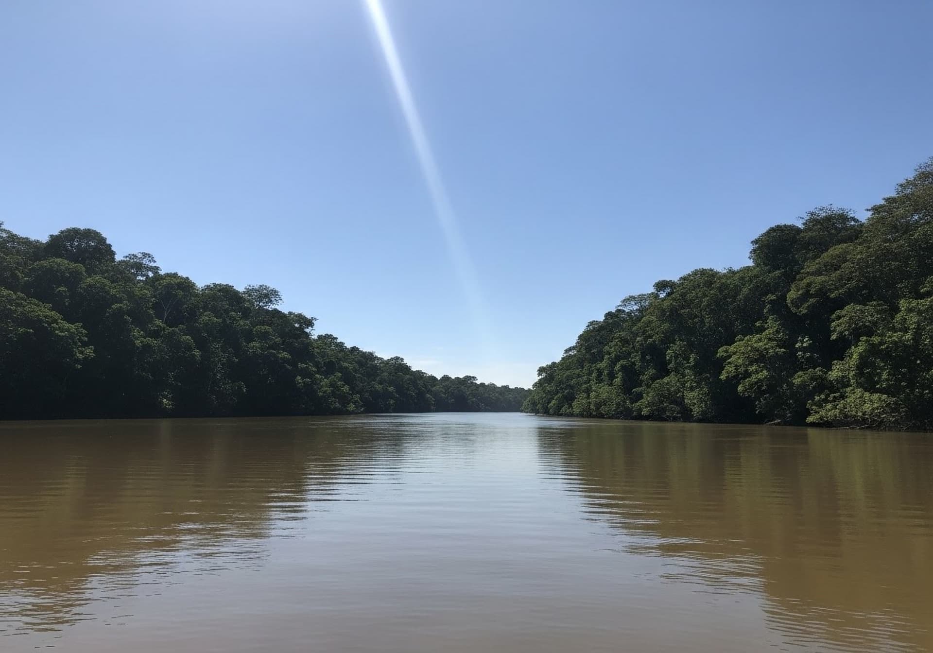 FORÊT AMAZONIENNE